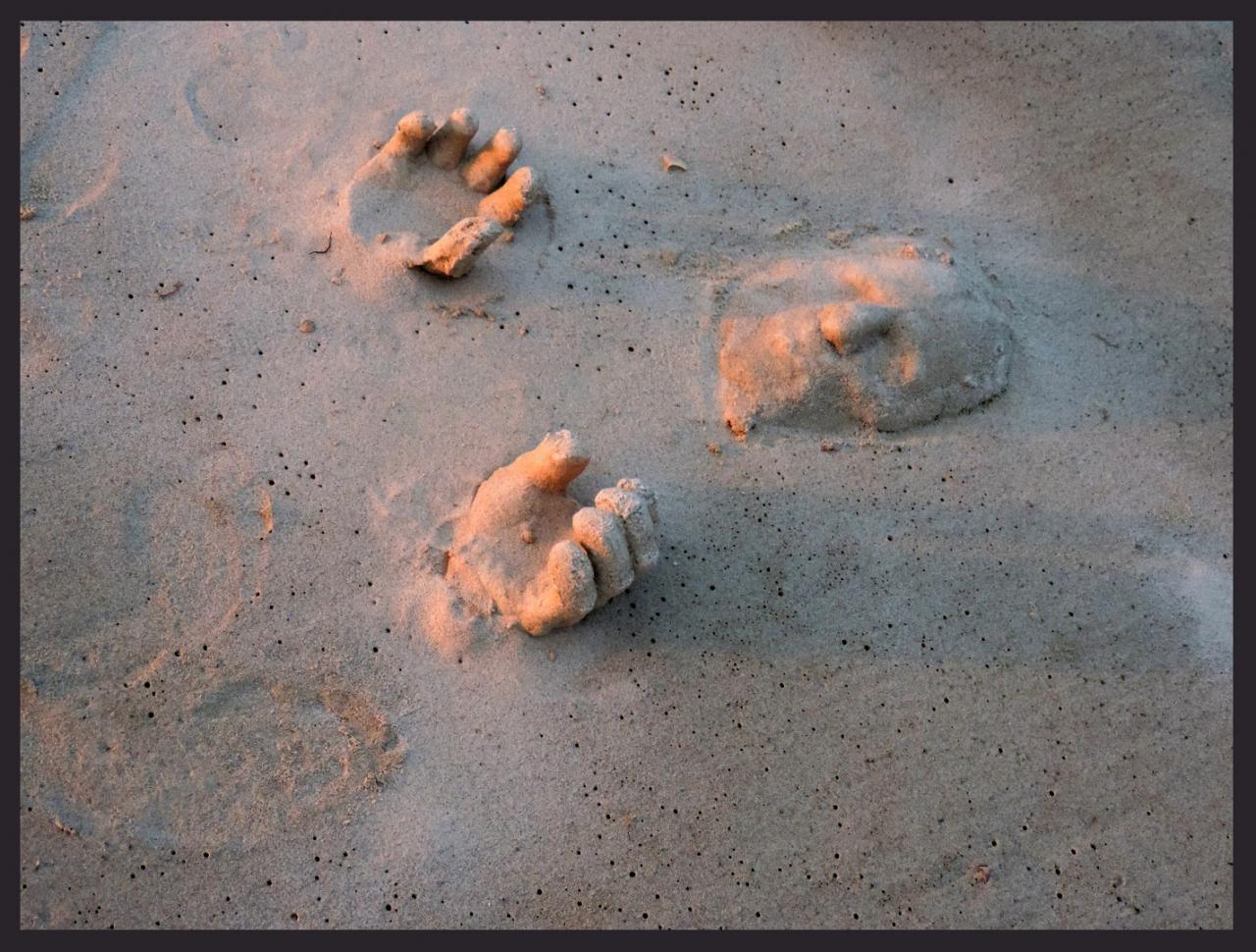 Chris in Sandinite