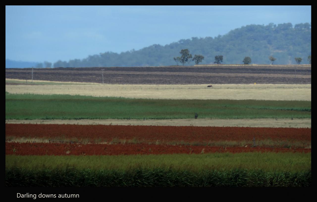 Darling Downs Autumn