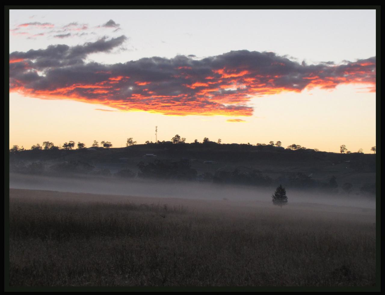 Misty Sunrise