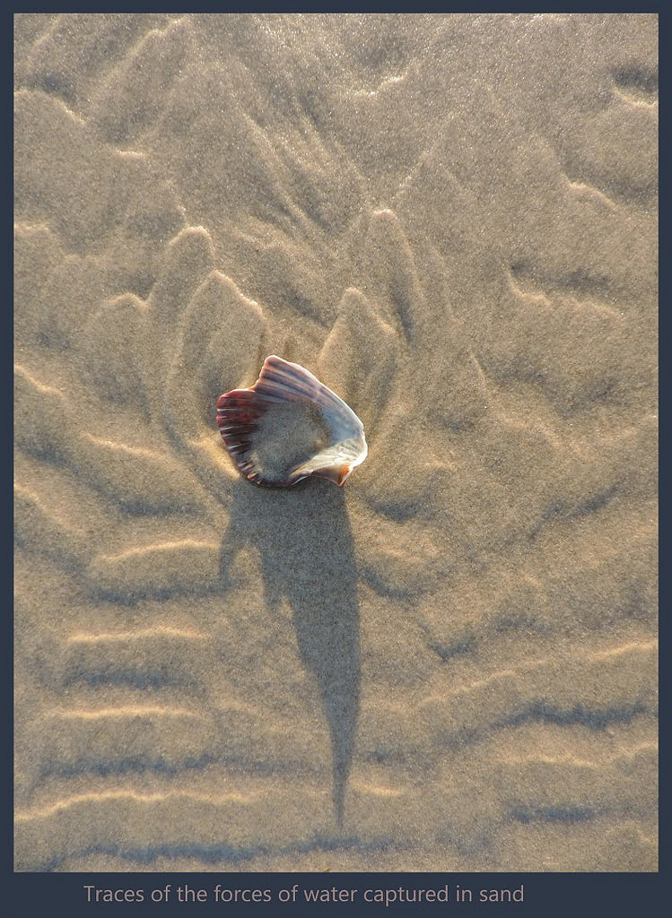 Traces
