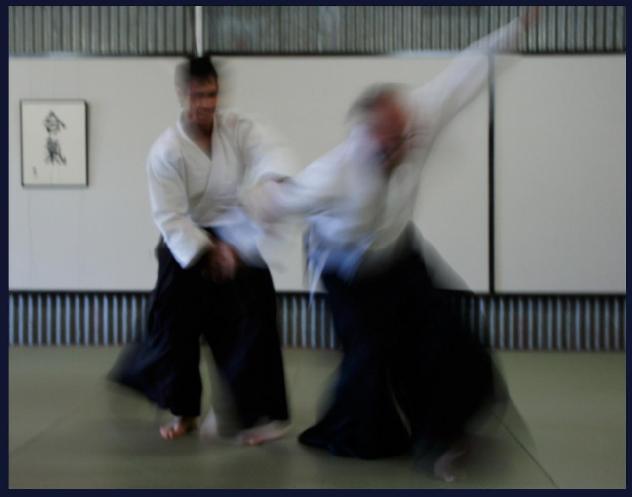 Aikido